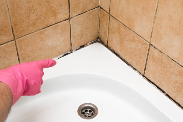 Best Mold Removal Near Me  in Tysons, VA
